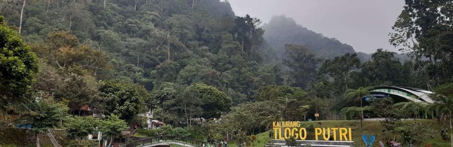 Telaga Putri, Keindahan Alam yang Menenangkan di Lereng Gunung